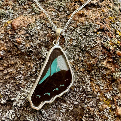 REAL Bluebottle Butterfly Wing Pendant in 99.5 Fine Silver with 18"-20" Sterling Silver Chain