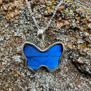 REAL Blue Morpho Butterfly Wing Pendant in 99.5 Fine Silver with 18"-20" Sterling Silver Chain