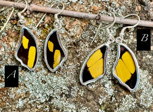 King Swallowtail Butterfly Wing Drop Earrings in 99.5 Fine Silver