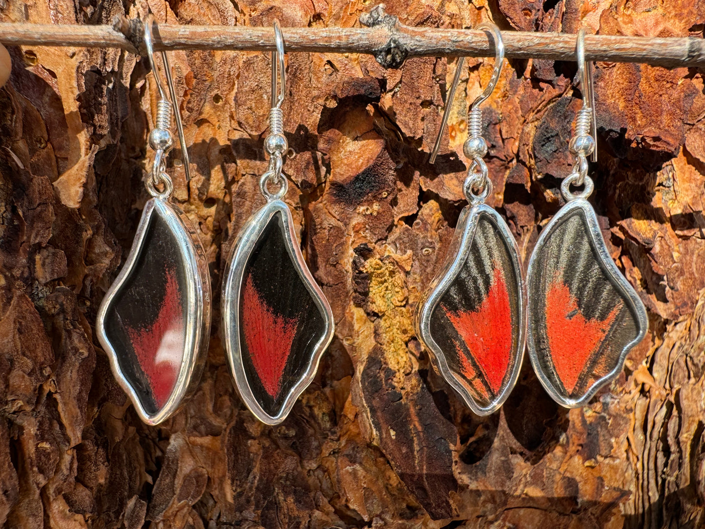 Red Scarlet Butterfly Wing Drop Earrings in 99.5 Fine Silver