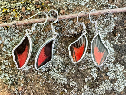 Red Scarlet Butterfly Wing Drop Earrings in 99.5 Fine Silver