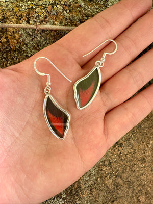 Red Scarlet Butterfly Wing Drop Earrings in 99.5 Fine Silver