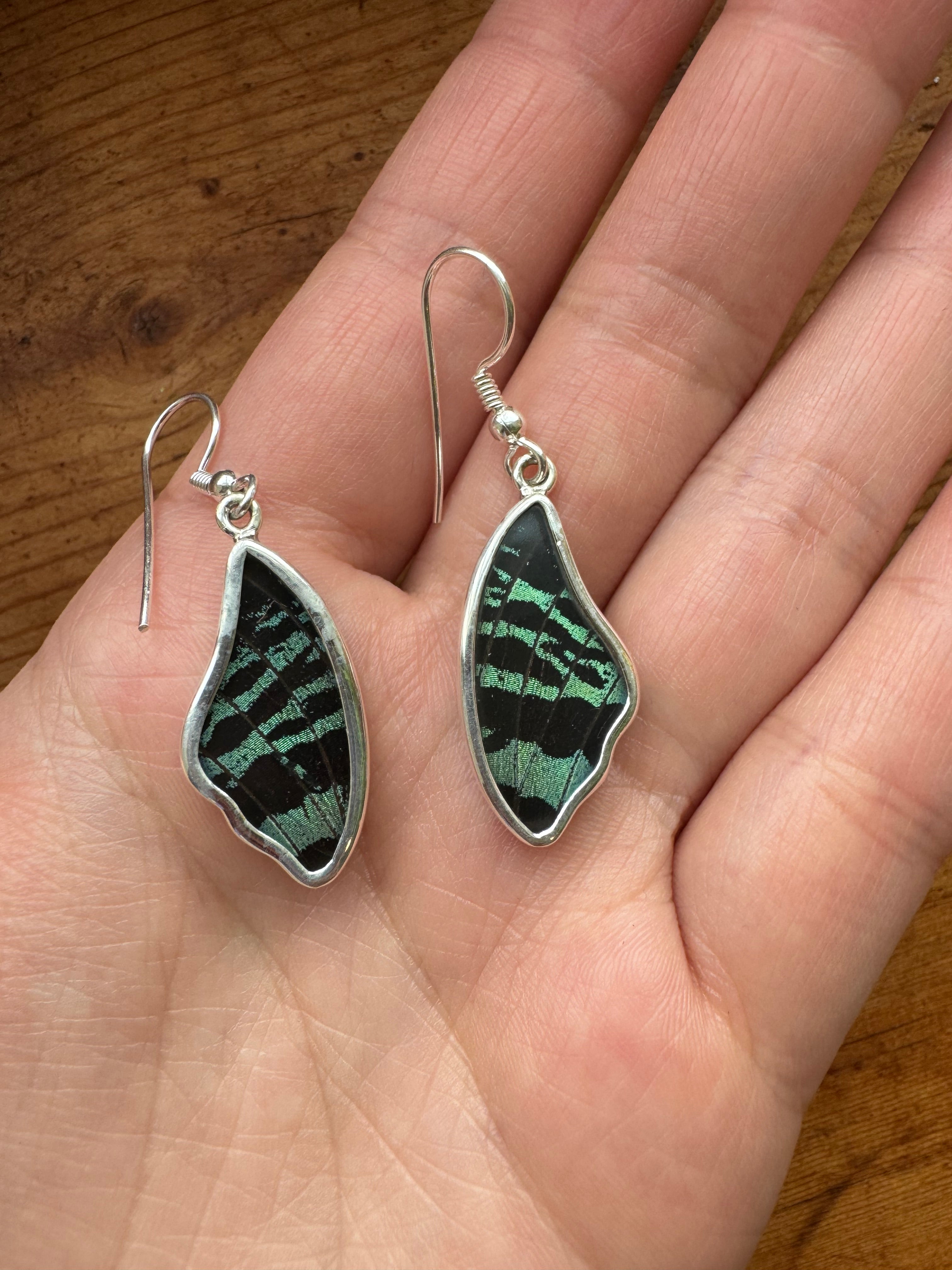 Sunset Moth Butterfly Wing Drop Earrings in 99.5 Fine Silver