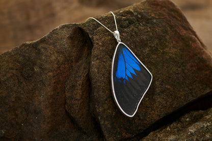 REAL Mountain Blue Swallowtail Butterfly Wing Pendant in 99.5 Fine Silver with 18"-20" Sterling Silver Chain