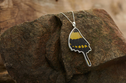 REAL King Swallowtail Butterfly Wing Pendant in 99.5 Fine Silver with Little Caterpillar Art