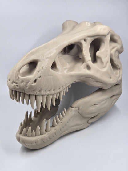 T-Rex Skull Exact Replica, BIG! Tyrannosaurus fossil bone specimen