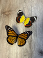 2 Spread butterflies, not framed Lot 500