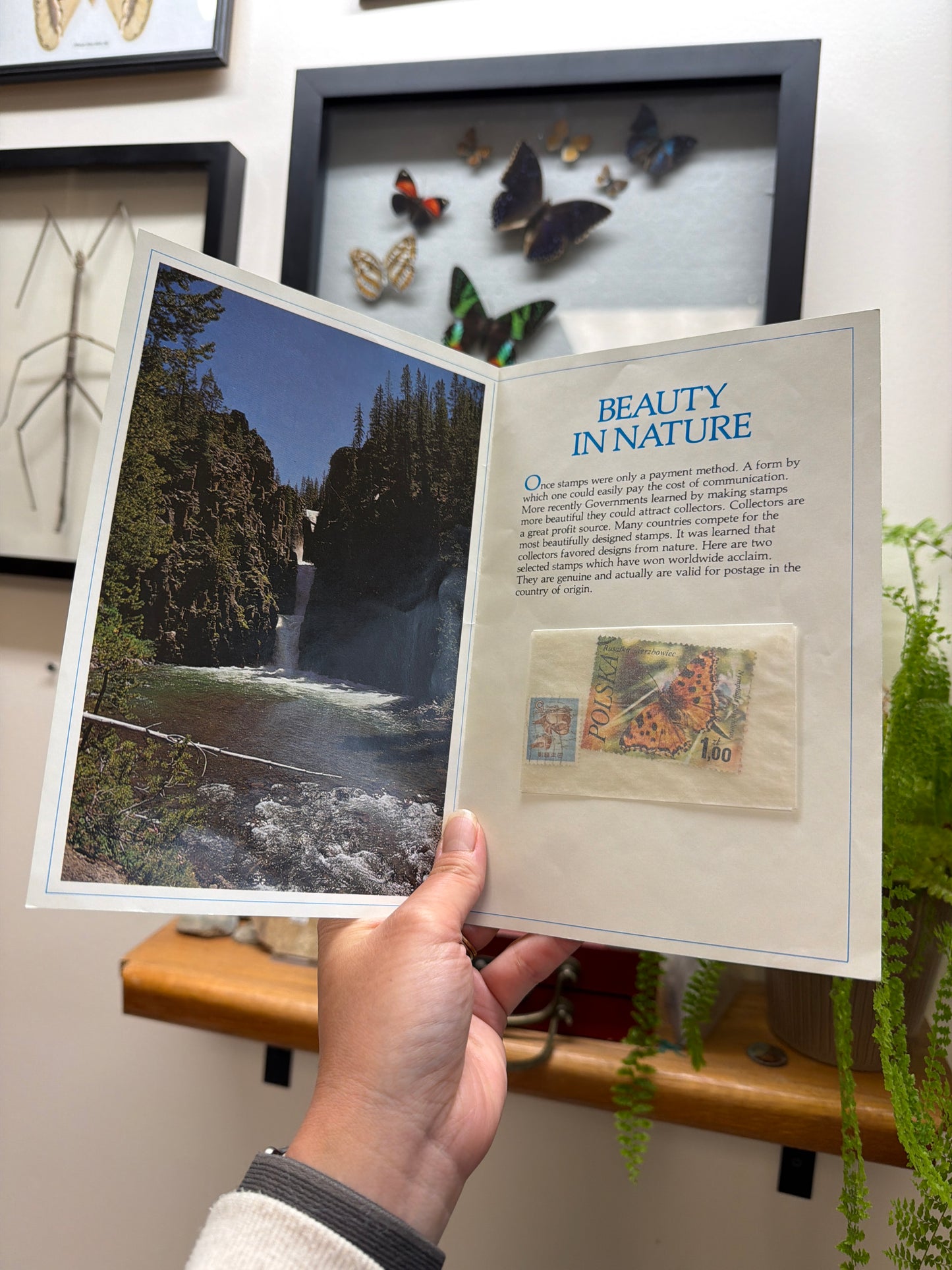 Commemorative Butterfly Stamps Lot 301