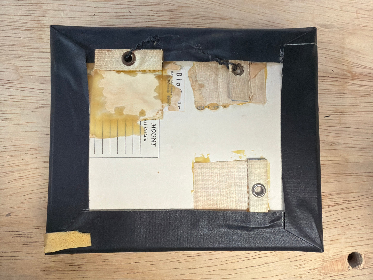 Vintage Framed Death's Head Hawkmoth