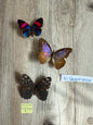 3 Spread butterflies, not framed Lot 514