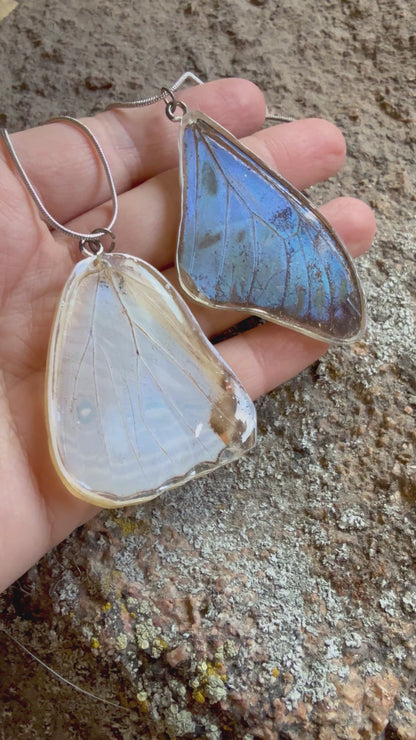 Real Morpho Butterfly Wing Pendant Necklaces