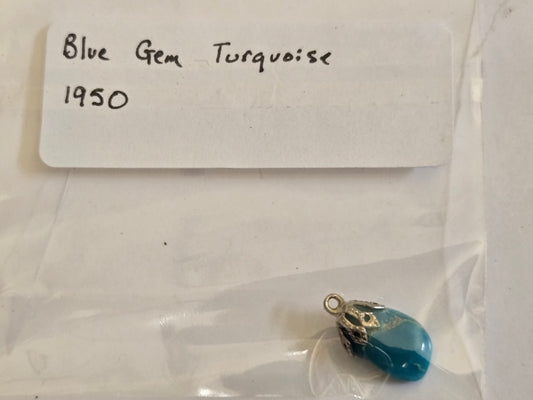 Blue Gem Turqupise Fossil/Mineral Collection LOT 415