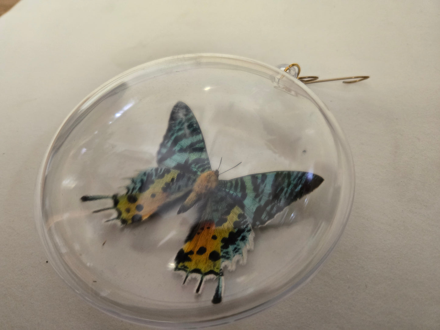 Sunset Moth Christmas Ornament