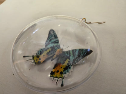 Sunset Moth Christmas Ornament