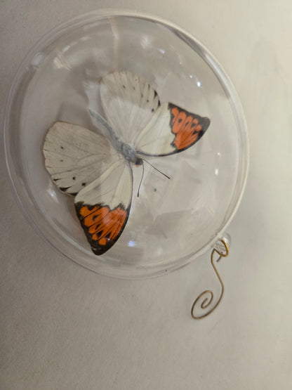 Orange Tip Butterfly Christmas Ornament