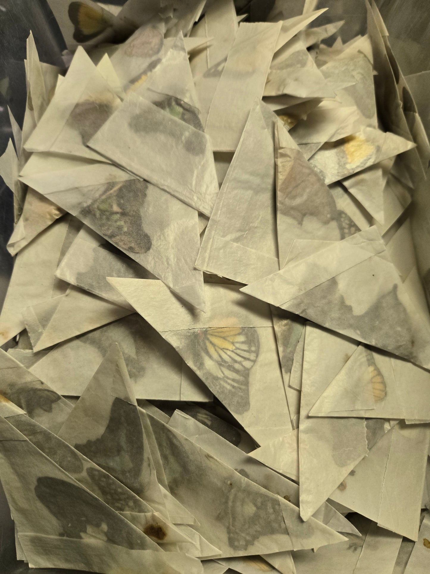 Mixed Butterflies-Please read! SUPER SALE!