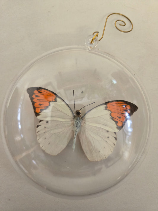 Orange Tip Butterfly Christmas Ornament