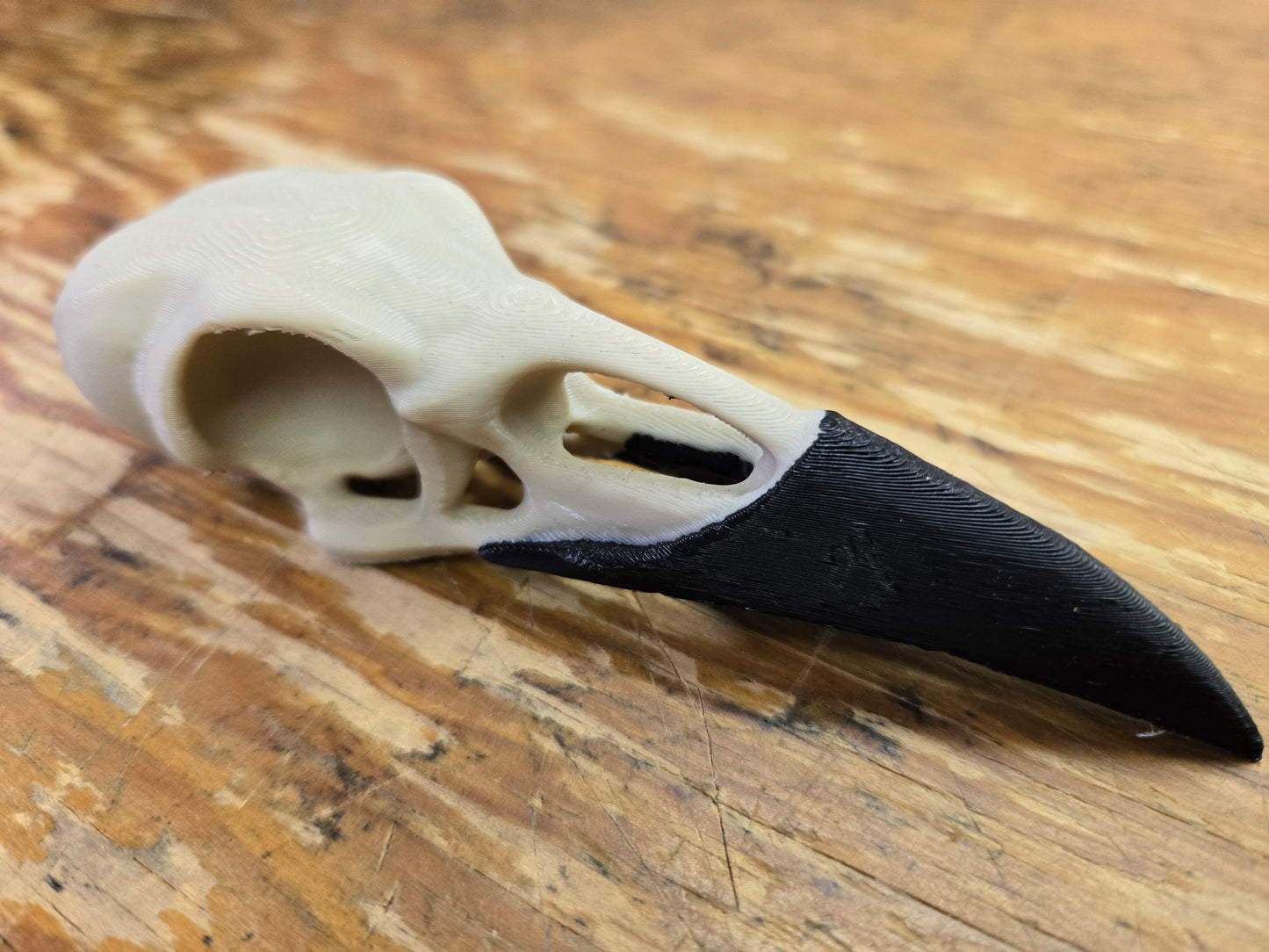 Raven Skull replica, Full Size, Lot 329