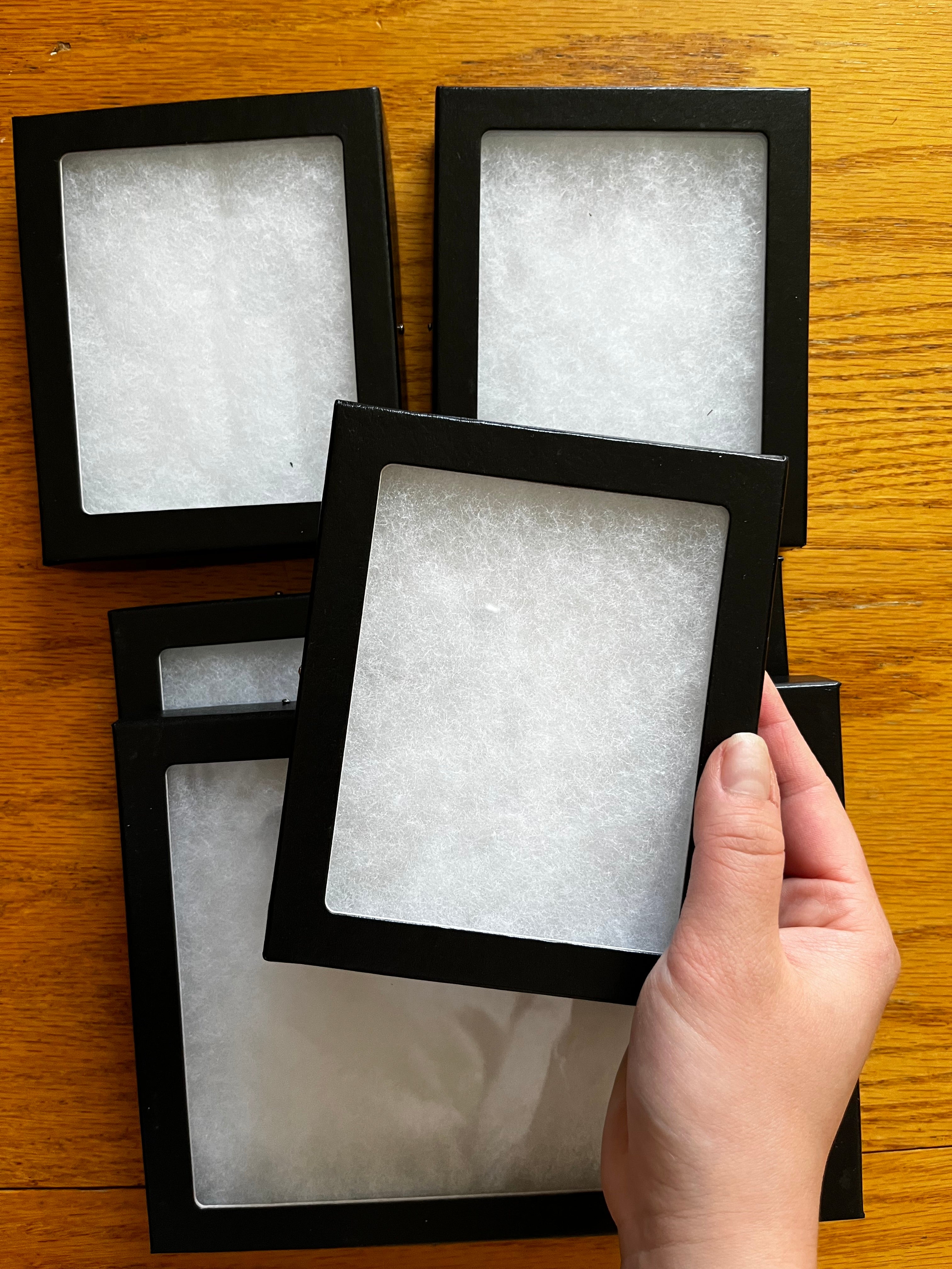 Riker Mount Frames for Insects, Butterflies, Beetles, Collectibles ...