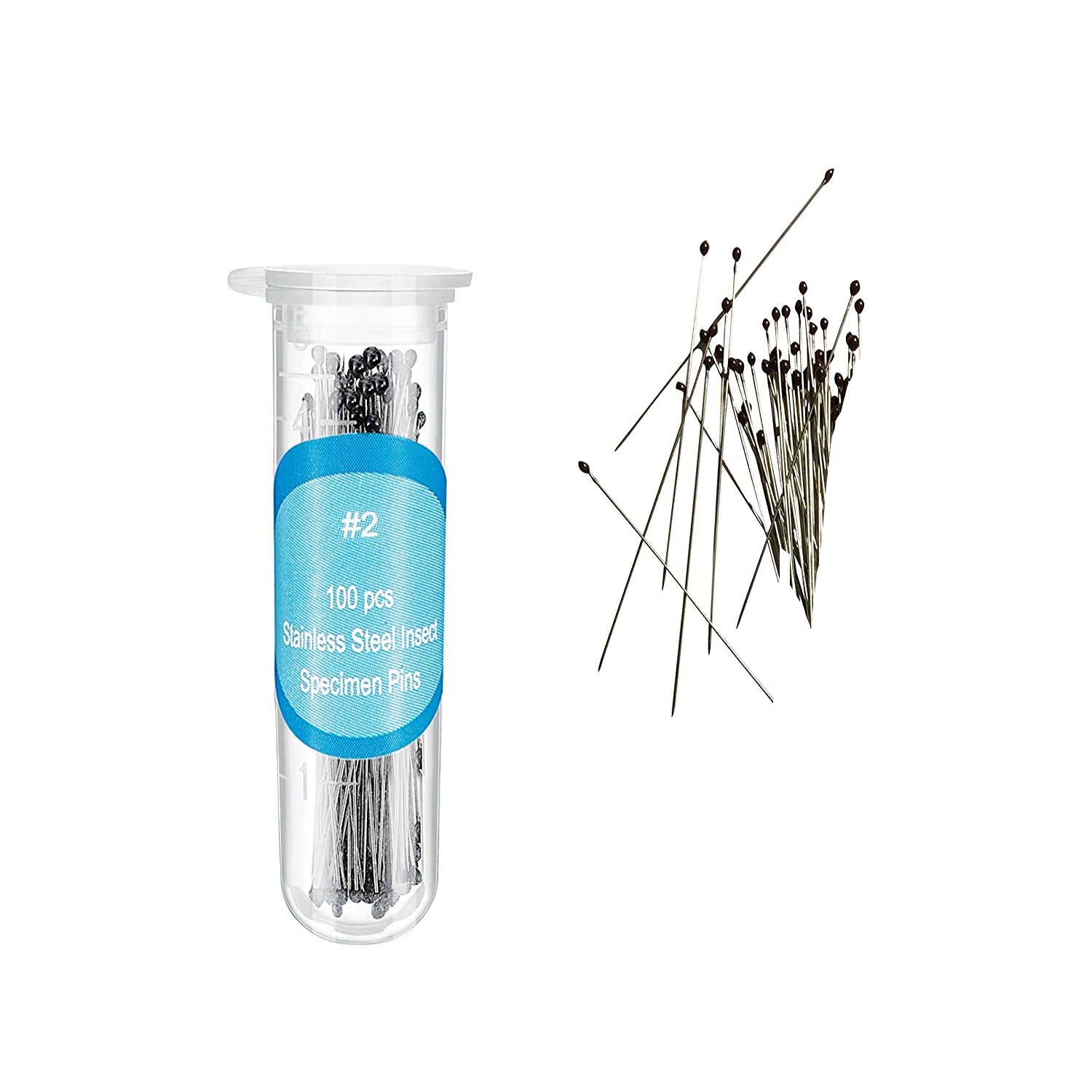 Stainless Steel Entomology Pins, For Insects and Butterflies – The ...